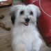 Profile Picture of Daniel Bouvier (@daniel.bouvier.3950) on Facebook