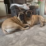 Profile Picture of Philip Newcomb (@philip.newcomb) on Facebook