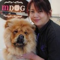 Profile Picture of May Wong (@may-wong-6) on Quora