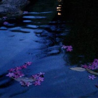 Profile Picture of Dawn Bruno (@DawnBruno) on Twitter