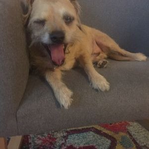 Profile Picture of Brian Pease (@assignednumbers) on Twitter