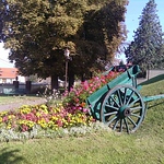 Profile Picture of Joseph Duran (@naturepochon) on Flickr