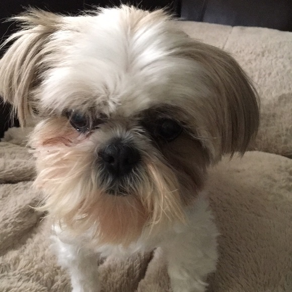 Profile Picture of Barbara Lafferty (@blaff1013) on Poshmark