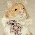 Profile Picture of Roberta (@bacio_stellato_) on Instagram