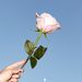 Profile Picture of Bryanna O'Connell (@BHOConnell) on Pinterest