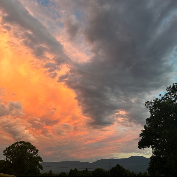 Sarah Pfisterer - Poshmark Profile Picture of Sarah Pfisterer (@sarah7250) on Poshmark