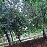 Profile Picture of Laurie Wilcox (@delight4vibes) on Instagram