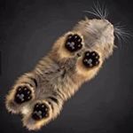 Profile Picture of Laura Whitbread (@lawz_) on Instagram