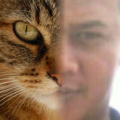Profile Picture of Nur Ahmad.s (@9Z9AJgTTgzCALVo) on Twitter