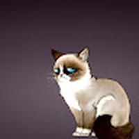 Profile Picture of Éloïse Chevrier (@Éloïse-chevrier) on Quora