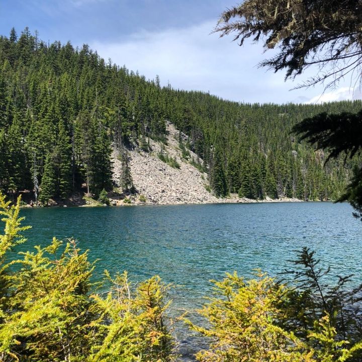 Rudy Crespo - Tiktok Profile Picture of Rudy Crespo (@r_c73) on Tiktok