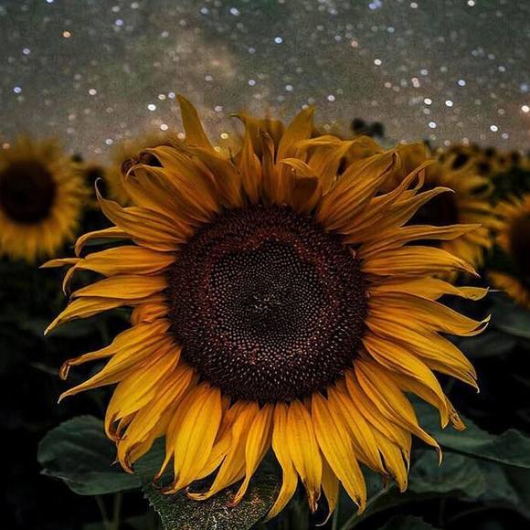 Profile Picture of Cassie Easey (@cassiejane851) on Poshmark