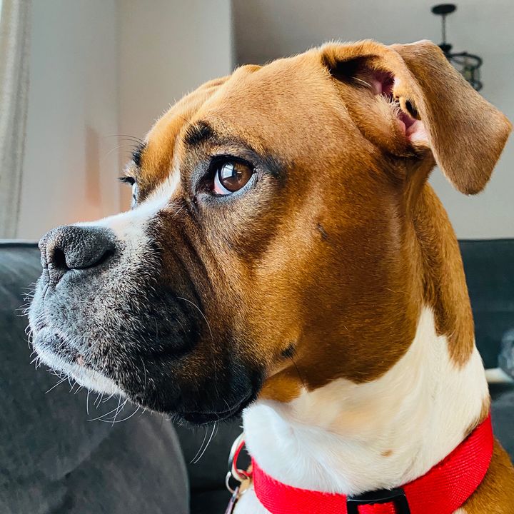 Profile Picture of Laura_Hutch (@laura_hutch) on Tiktok