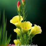 Profile Picture of Kollam Anas (@Kollam-Anas) on Facebook