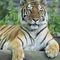 Profile Picture of Jeffrey McGraw (@jeffrey.mcgraw.127) on Facebook