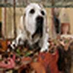 Profile Picture of Michele Passuello (@michele passuello) on Flickr