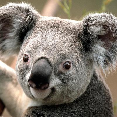 Profile Picture of Eric Quirk (@QuirkEricTech) on Twitter