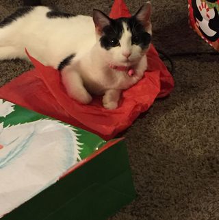 Profile Picture of Matthew Buttitta (@matthew.buttitta) on Facebook