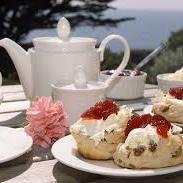 Marshall Farrell - Twitter Profile Picture of Marshall Farrell (@SconeNotScone) on Twitter