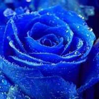 STELLA WILLIAM - Twitter Profile Picture of STELLA WILLIAM (@@STELLAWILLIAM8) on Twitter