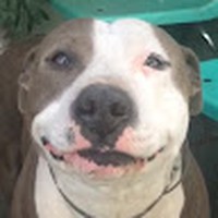 Profile Picture of Erick Jauregui (@erick-jauregui-4) on Quora