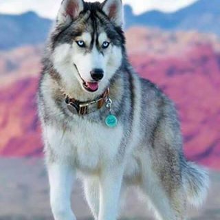 Profile Picture of Cruz Sorto (@cruz.sorto.7) on Facebook