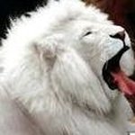 Profile Picture of nicholas de maria (@il_demaria) on Instagram