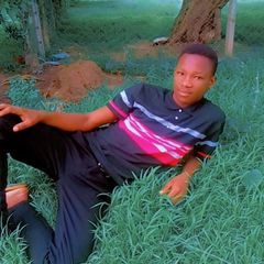 Profile Picture of Peter Aloisi (@peter.aloisi) on Tiktok