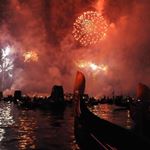 Steve Fanelli - Instagram Profile Picture of Steve Fanelli (@fanelli.steve) on Instagram