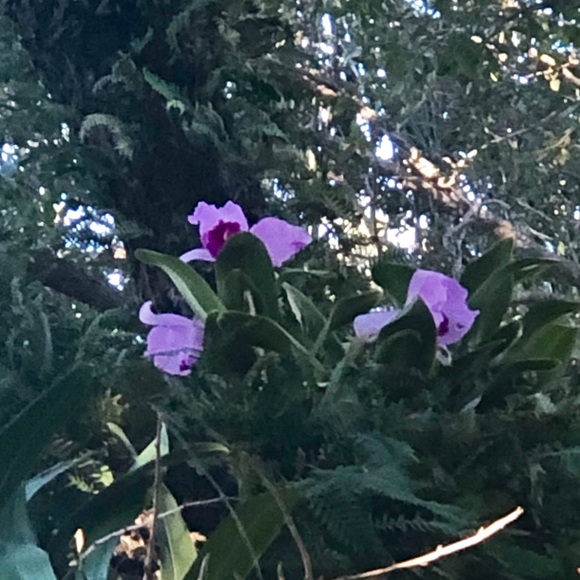 Profile Picture of Maria Matone (@mariamatone) on Poshmark