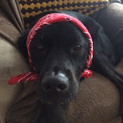 Profile Picture of Joseph Scott (@josephscott8226) on Youtube