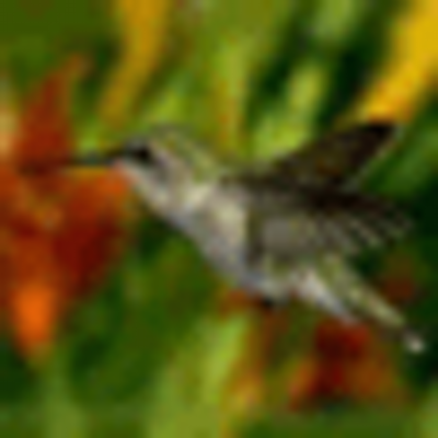 Profile Picture of Clay Bland (@kamuigf) on Twitter