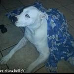 Profile Picture of Carolyn Whittemore (@cwdolton) on Instagram