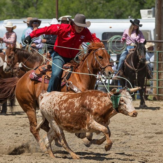 Profile Picture of G$. (@gentrecoulter) on Tiktok