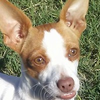 Profile Picture of Magaly Alvarez (@magaly-alvarez-16) on Quora