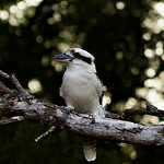 Profile Picture of William Andrews (@williamandrews298) on Flickr