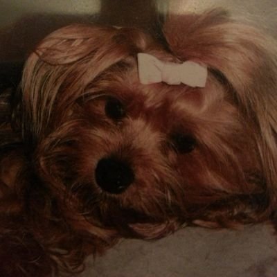 Profile Picture of Joe Teter (@teetz_23) on Twitter