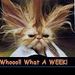 Profile Picture of Richard Bettes (@rbettes550) on Pinterest