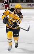 Profile Picture of Paul Carey (ice hockey)on Wikipedia