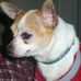 Profile Picture of Vickie Himelright (@vickie.himelright) on Facebook