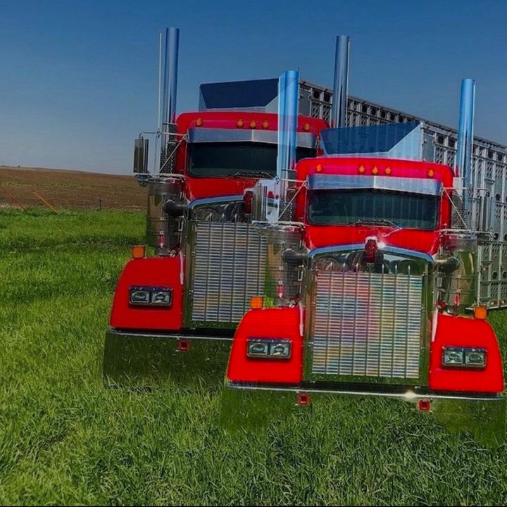 Profile Picture of Jermain Jackson558 (@jermainjackson558) on Tiktok