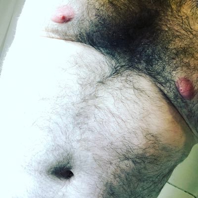 Profile Picture of The Mountain Cub (@themountaincub) on Twitter