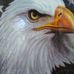 Profile Picture of Darrell Powers (@darrell.powers.140) on Facebook