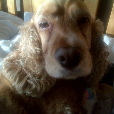 Profile Picture of Jackie - Ann Finch (@jackiejayx) on Twitter