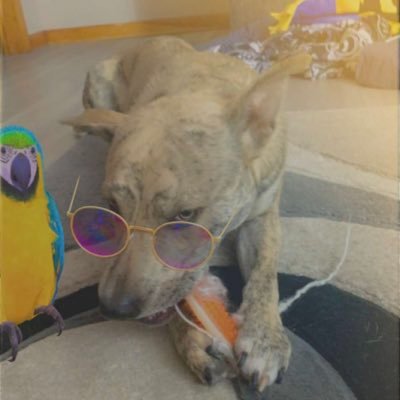 Profile Picture of Patrick Roark (@patrickroark7) on Twitter