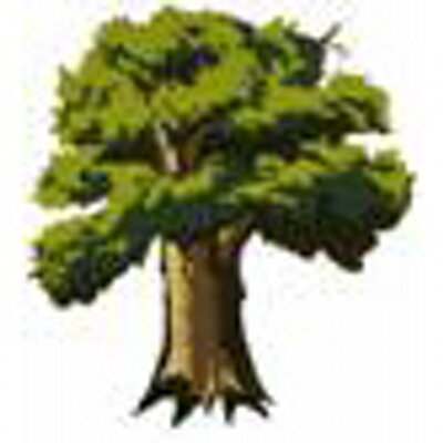 Profile Picture of Kim Isley (@TreesforaChange) on Twitter