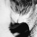 Profile Picture of Darren Mathews (@darren3250) on Pinterest
