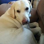 Profile Picture of Cindy Valley (@cindy.valley8989) on Instagram