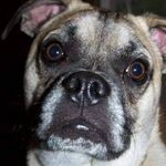 Profile Picture of Sean Weber (@sean.weber.169) on Instagram