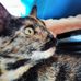 Profile Picture of Kathy Keech (@Kathy-Keech) on Facebook